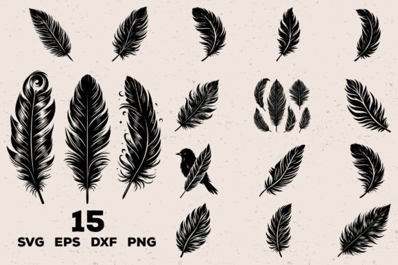 Feather SVG Bundle, Boho Bird Feather - Download Now